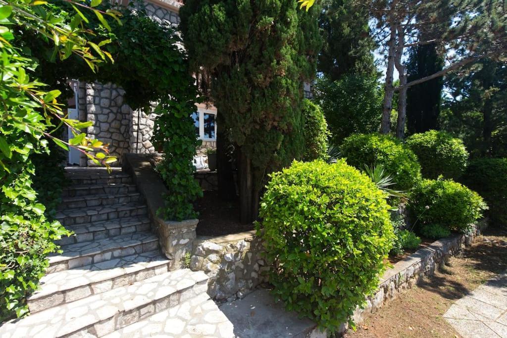 Villa Stefi نوفي فينودولسكي المظهر الخارجي الصورة